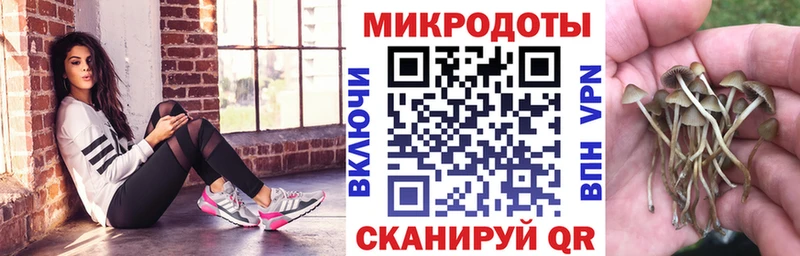 Псилоцибиновые грибы MAGIC MUSHROOMS  Лысково 